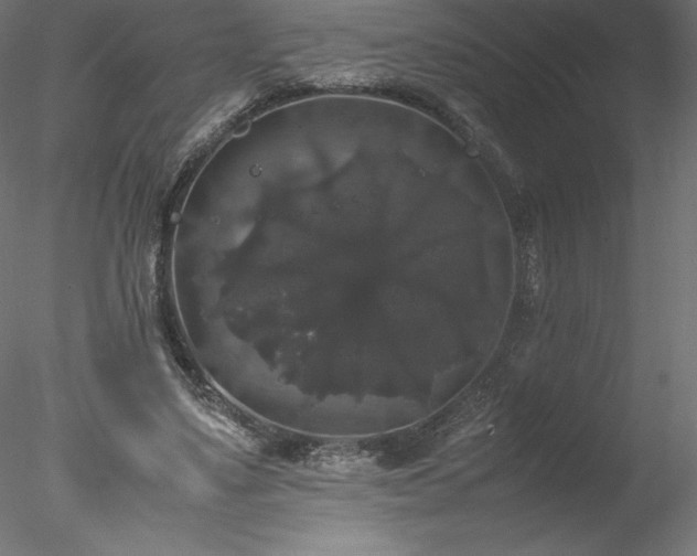 X0000078020491200611031500