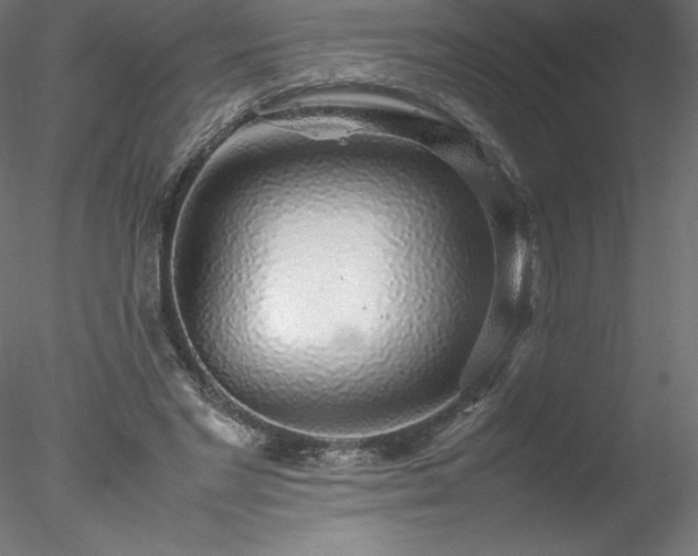 X0000078020493200611031500