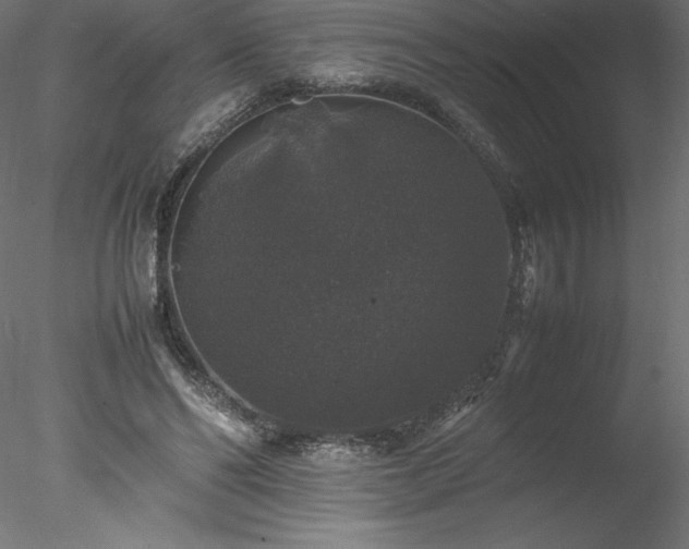 X0000078020494200611031500