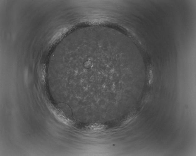 X0000078020495200611031500