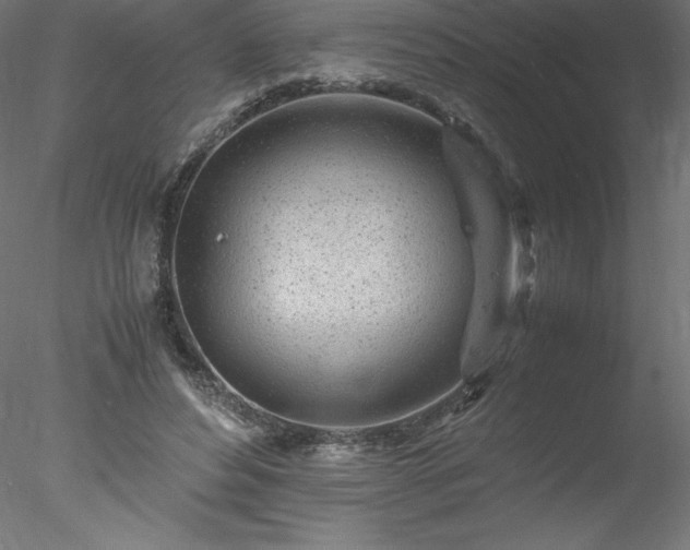 X0000078020496200611031500