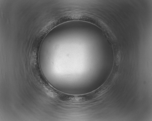 X0000078020497200611031500