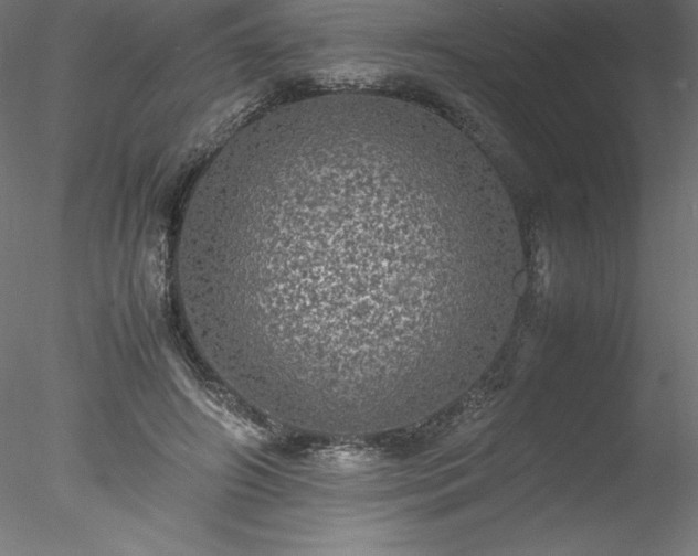 X0000078020498200611031500