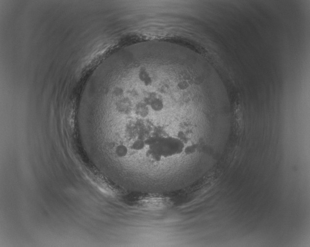 X0000078020499200611031500