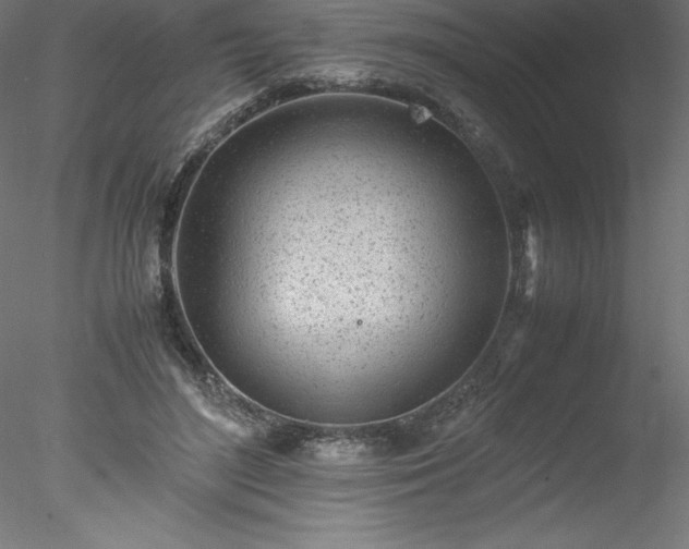 X0000078020500200611031500