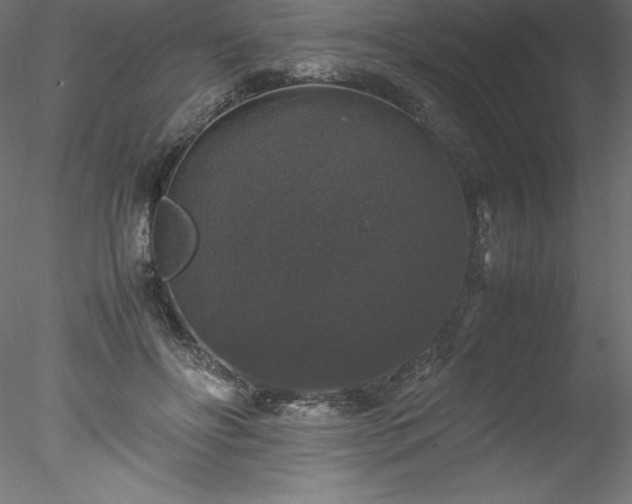 X0000078020502200611031459