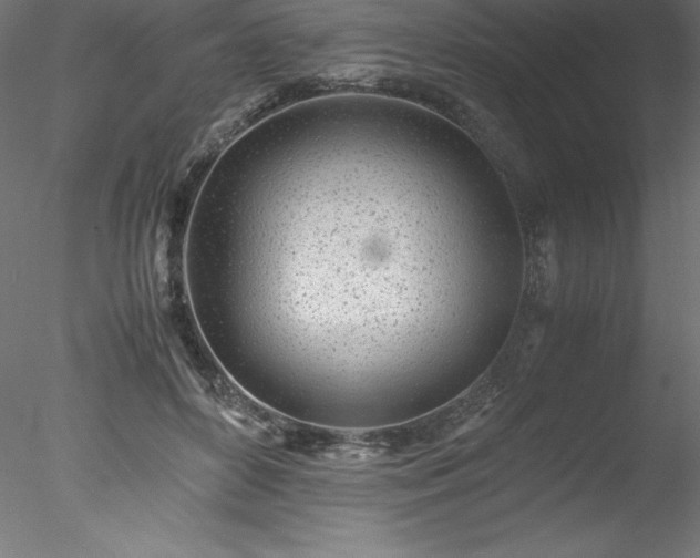 X0000078020504200611031459