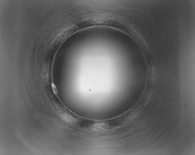 X0000078020505200611031459