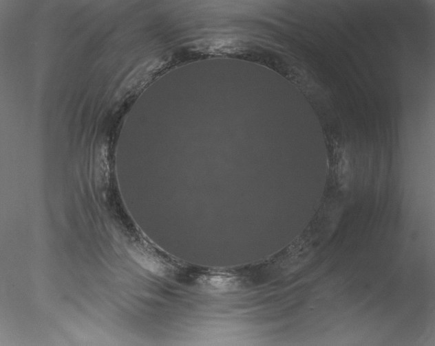 X0000078020506200611031459