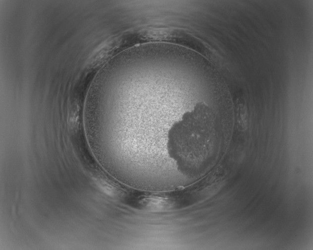 X0000078020507200611031459