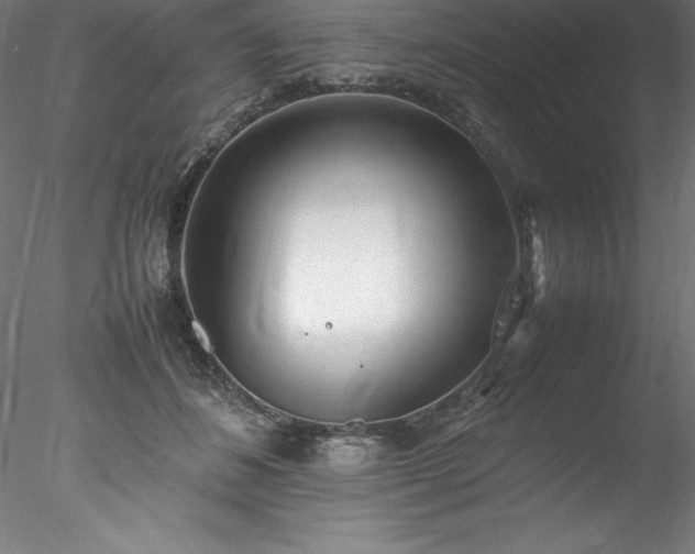 X0000078020508200611031459