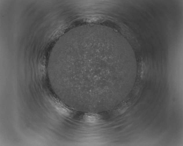 X0000078020510200611031459