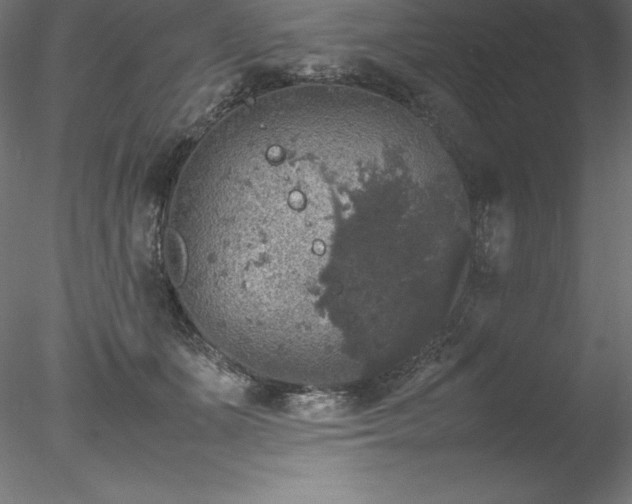 X0000078020511200611031459