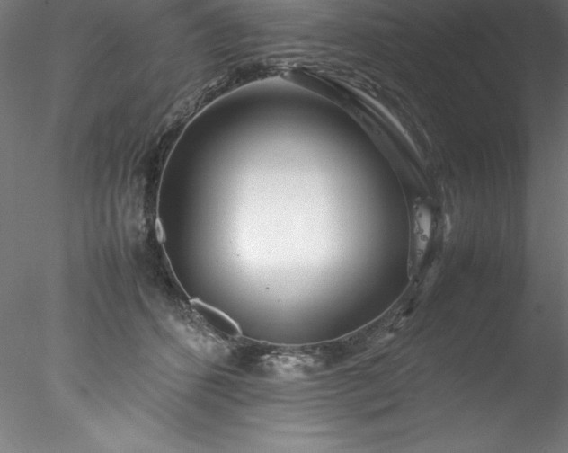 X0000078020512200611031459