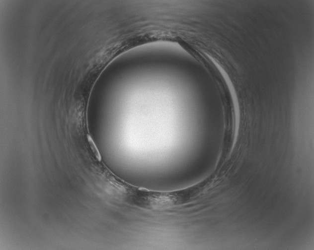 X0000078020513200611031459