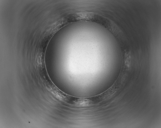 X0000078020514200611031459