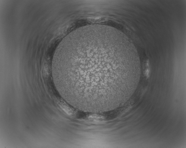 X0000078020515200611031459