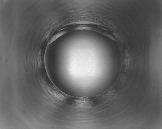 X0000078020516200611031459