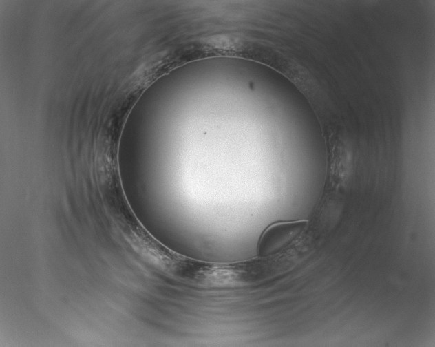 X0000078020518200611031459