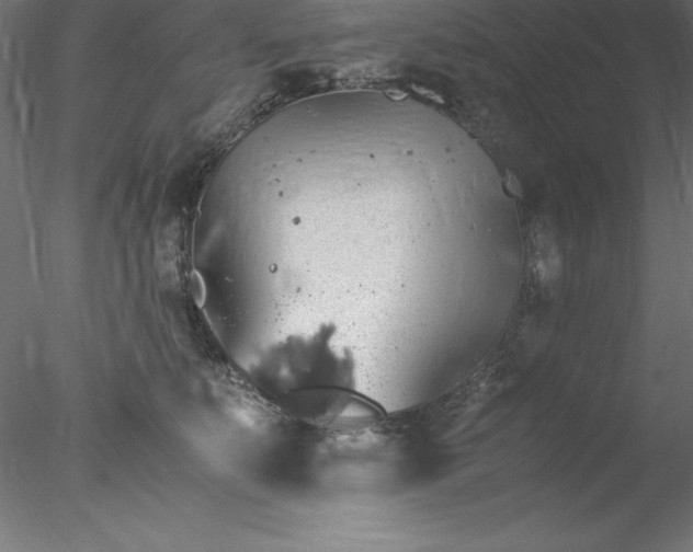 X0000078020519200611031459