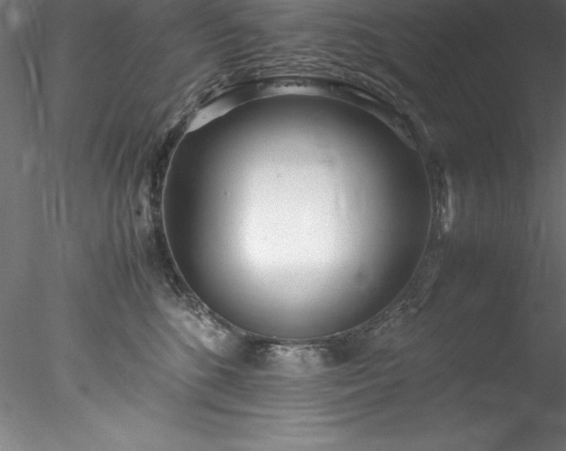 X0000078020520200611031459