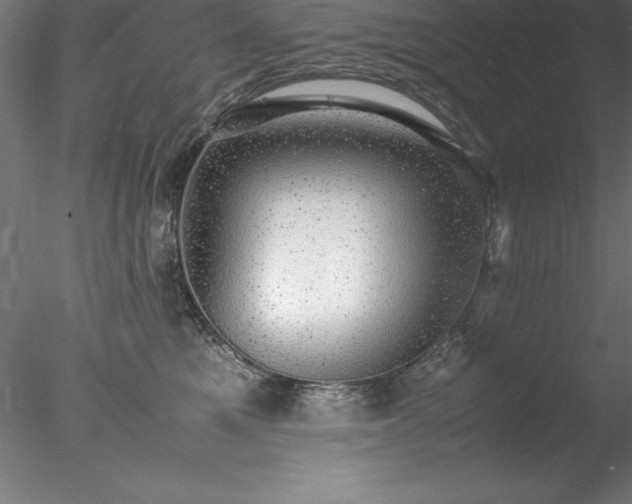 X0000078020521200611031459