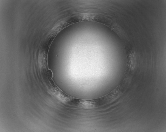 X0000078020522200611031459