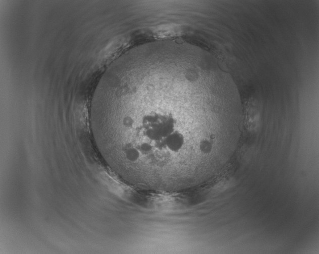 X0000078020523200611031459