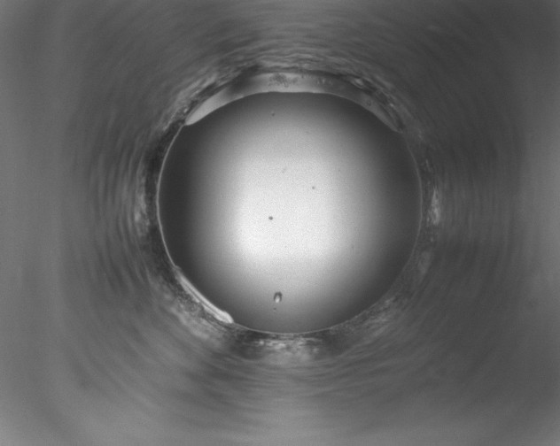 X0000078020524200611031459