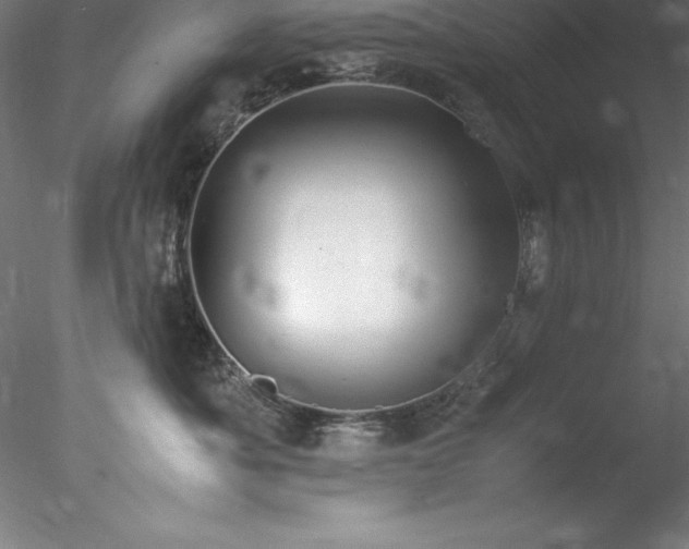 X0000078020525200611031459