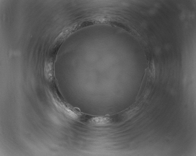 X0000078020526200611031459