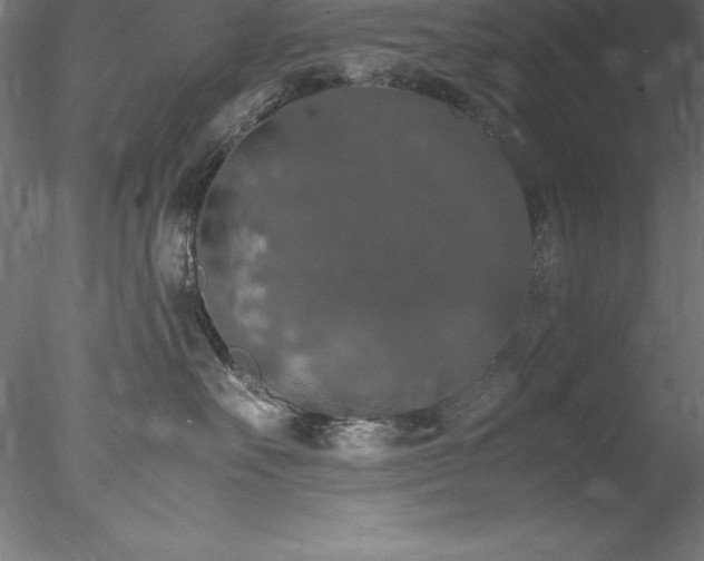 X0000078020527200611031459