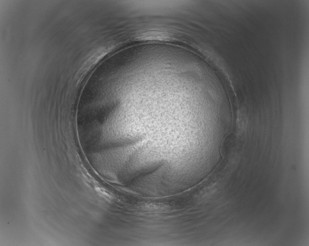 X0000078020529200611031458