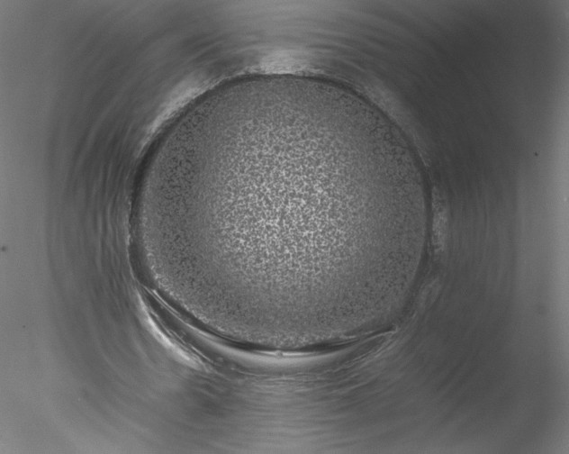 X0000078020530200611031458