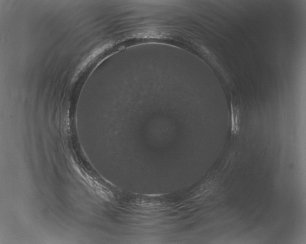 X0000078020531200611031458