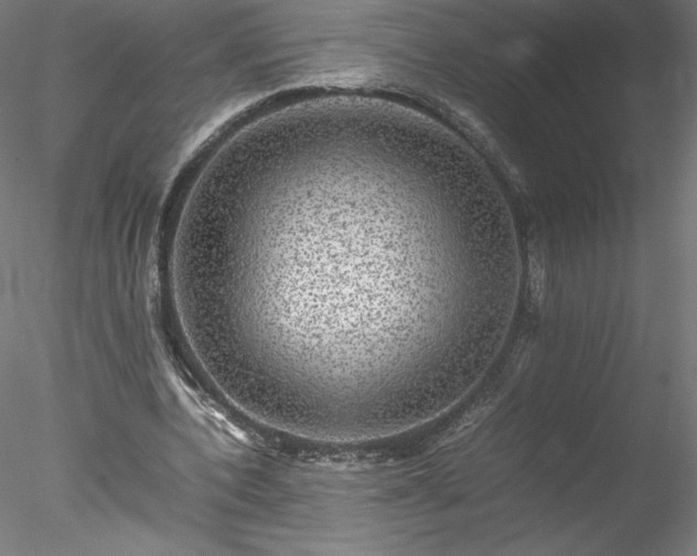 X0000078020532200611031458