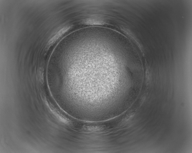 X0000078020533200611031458