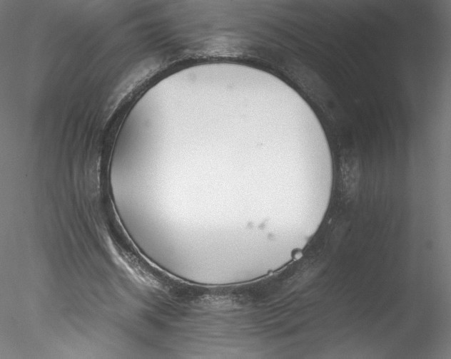 X0000078020534200611031458