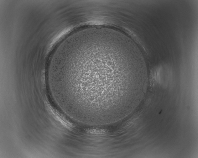 X0000078020535200611031458