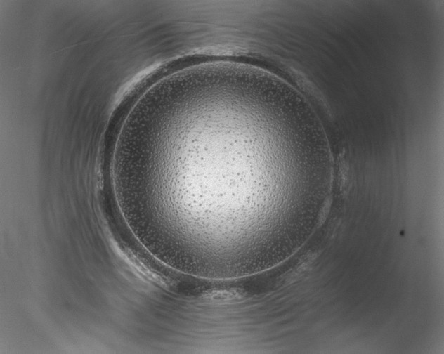 X0000078020536200611031458