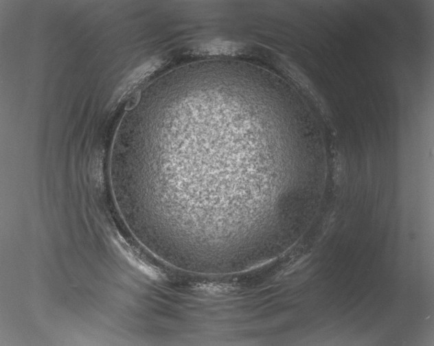 X0000078020537200611031458