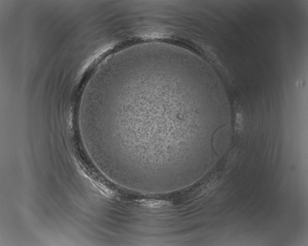 X0000078020539200611031458