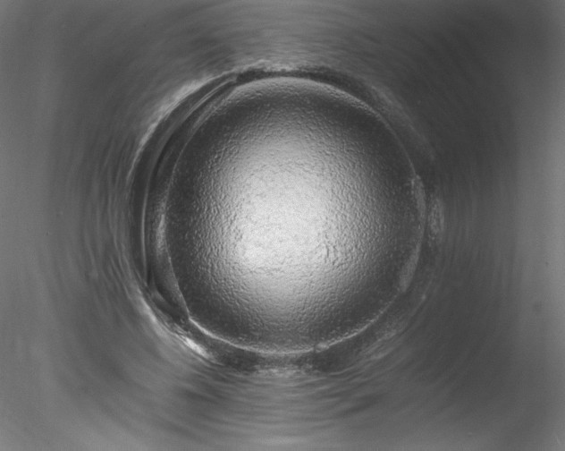 X0000078020540200611031458