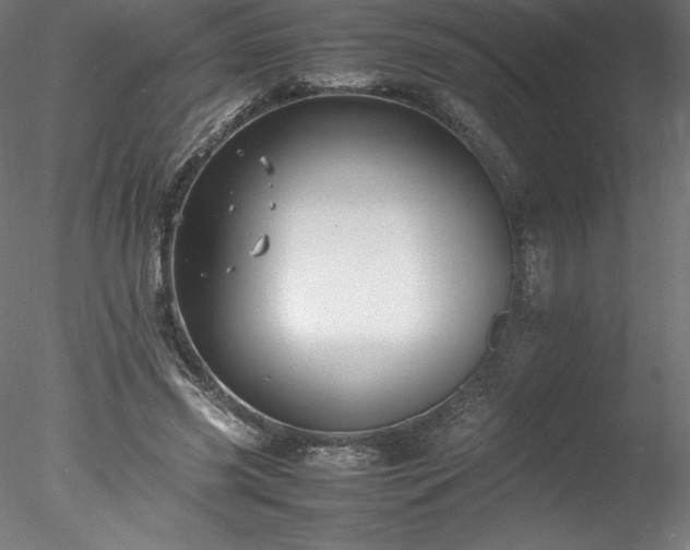 X0000078020541200611031458