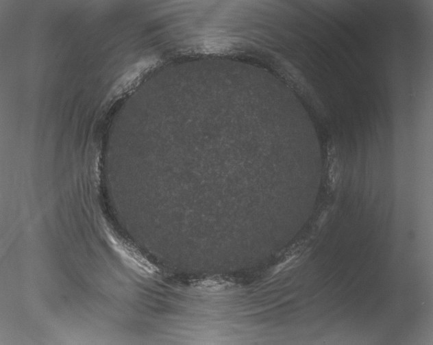 X0000078020542200611031458