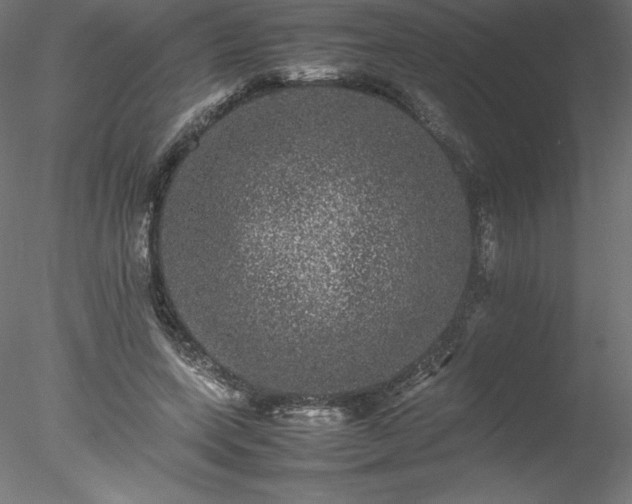 X0000078020543200611031458