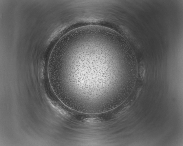 X0000078020544200611031459