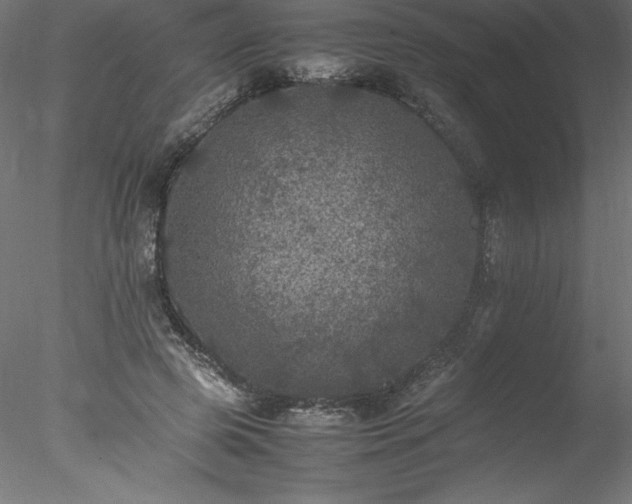 X0000078020545200611031459