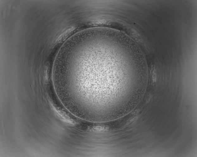 X0000078020546200611031459