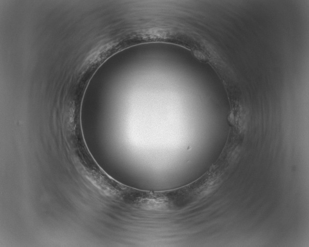 X0000078020548200611031459